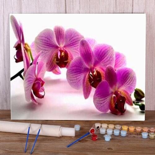 Flower Orchid DIY Painting By Numbers Complete Kit Oil Paints 50*70 Canvas Pictures Decorative Paintings For Adults Handiwork