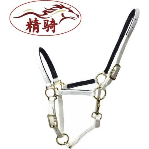 Horse Saddle Harness New Headstall Set-up Bibcock Refined Ride Equestrian Riding Gear Horse Headstall