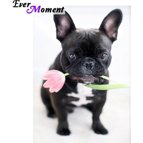 Diy diamond painting cross stitch flower dog needlework embroidery handcraft square drawing arts crafts sewing mosaic ASF643
