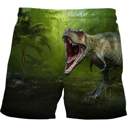 Summer Children Animal Dinosaur Print 3D Shorts For Boys Girls Shorts Kid Beach Sports Pants Baby Clothes Teenager Anime Bottoms