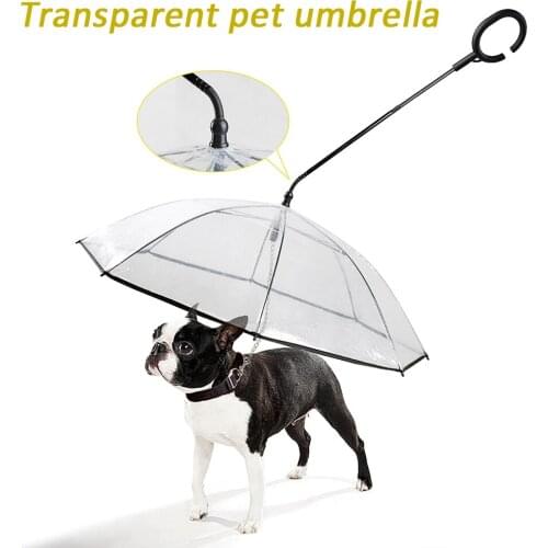 Pet Umbrellas Hyena Artifact Teddy Bear Dog Pet Rain Gear Lovely Pet Supplies Waterproof Cat Dog Umbrella Small Animals The Rain