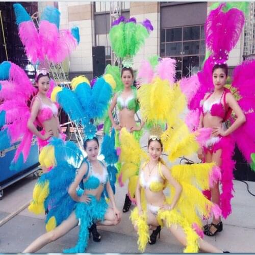 Singer dance show womens sexy feather wings costume party samba cosplay festival carnival costumes feather backboard for women