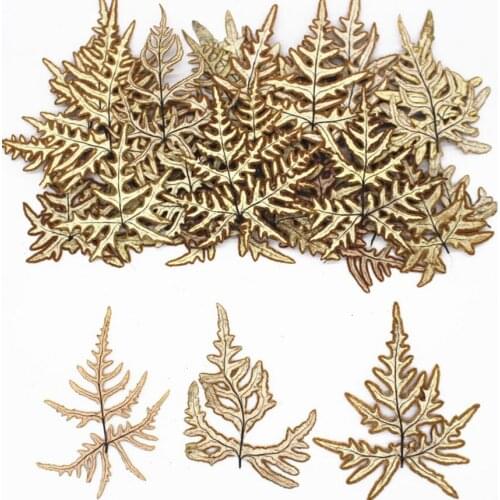 120pcs Pressed Dried Aleuritopteris Argentea Leaves Flower Plant Herbarium For Jewelry Postcard Invitation Card Phone Case DIY