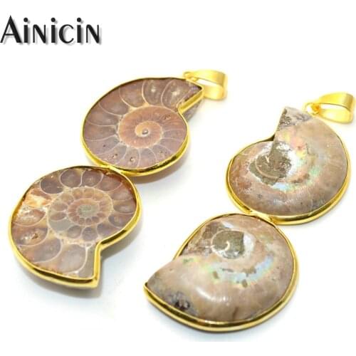 10pcs Natural Ammolite Double Conch Pendants 25x60mm Fashion DIY Jewelry Making Findings