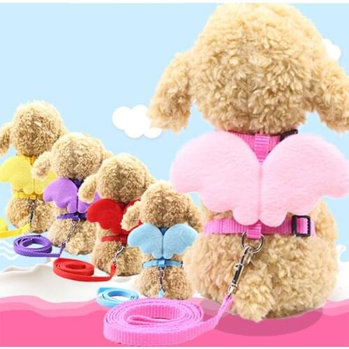 Small medium sized pet angel cartoon doll chest back wing traction pet wear cat traction rope dog collar dog harnes pet supplies