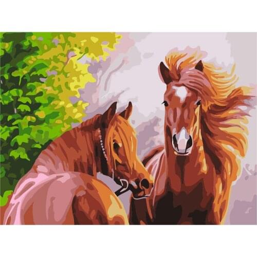Painting By Numbers Frameworks Coloring By Numbers Pictures Home Decor Canvas Painting By Numbers Animal Horse
