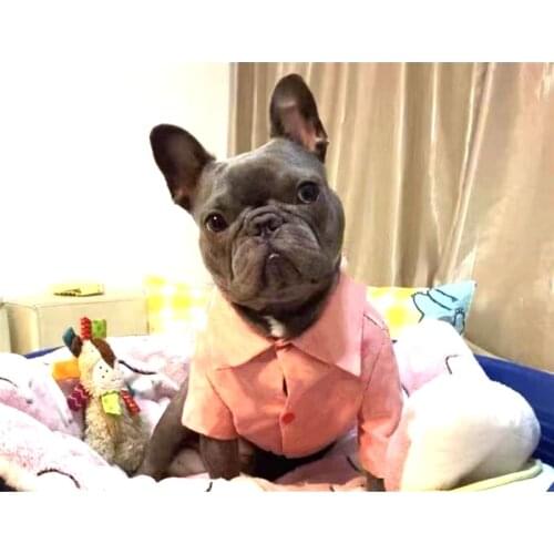 New Arrival French Bulldog Jacket Pet Dog Winter Warm Coat For Small Medium Dogs Schnauzer Pug Hoodie Clothes Dropshipping LYC26