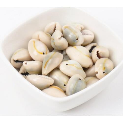 Natural Spiral Conch Shell SeaShells with one Hole for DIY handmade Home decoration jewelry making 10-25mm 20pcs