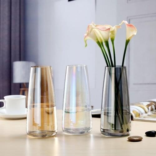 Nordic ins Aurora glass vase transparent flower arrangement simple desktop small fresh glass bottle vases for flowers