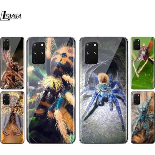 Various Spiders For Samsung S20 FE Ultra Plus A91 A81 A71 A42 A51 5G UW A41 A31 A21 A21S A11 A01 Phone Case