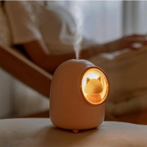 Creative Cute Pet Space Capsule Humidifier USB Charging Portable Cute Cat Squirrel Air Humidifying Aromatherapy Sprayer Buddist