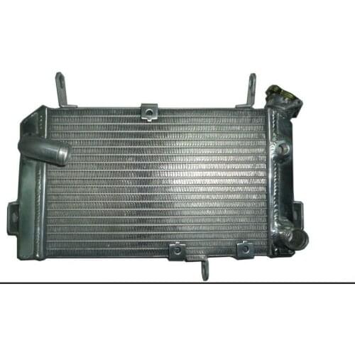 Golpher Aluminium Radiator for SUZUKI SV650 SV650N SV650S 99-02 Radiator