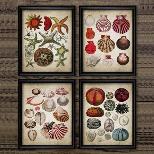 Retro Ocean Biological Wall Picture Painting Vintage Marine Starfish Seashell Retro Poster Poster Kraft paper