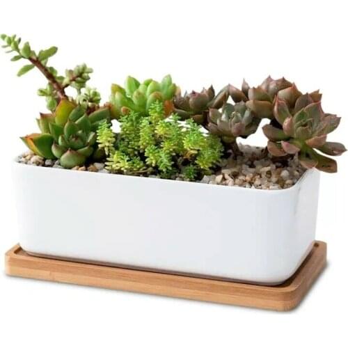 2 Pcs/Set Succulent Plant Pots White Ceramic Flower Cactus Planter With Drainage Hole Home Office Desk Decoration Garden Supplie