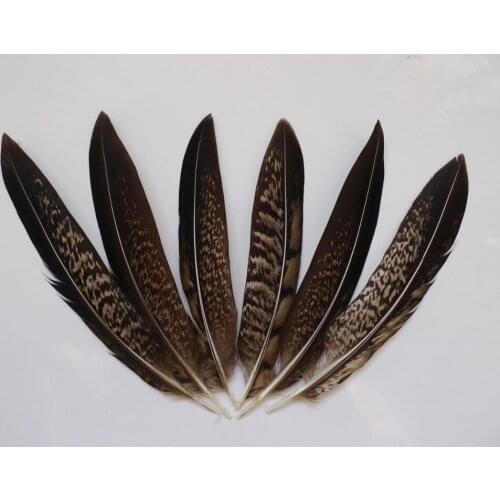 50 / 100 pcs 10-15 cm Chicken Feathers for jewelry crafts dress wedding decoration Rare Pheasant Tail Feathers plumas