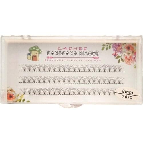 1box big capacity 120 bundles 6D Eyelash Extensions 0.07mm Thickness true Mink Strip Eyelashes Individual Lashes Natural Style