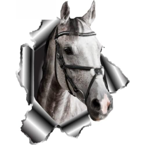 3D Car Sticker Vinyl Sticker Car Hood Bumper Windows Pet Decal Waterproof Accessories 13cm*12cm