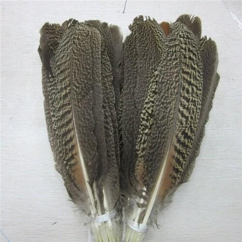 Wholesale 10-100pcs Real Natural Eagle feathers 30-35cm Quality Peacock Feather For Wedding decoration diy jewelry Plume