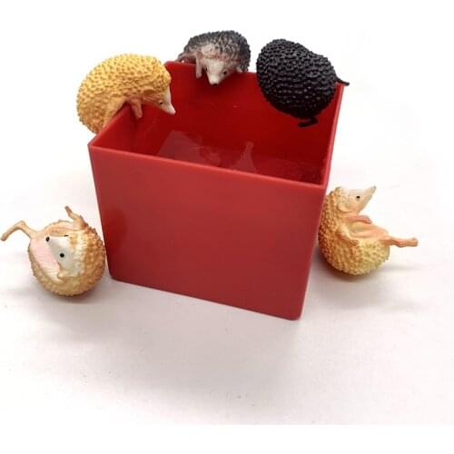 Japan original capsule toys cute pets 5 sets mini Hedgehog PUTITTO glass gashapon figures desktop Kids Toy
