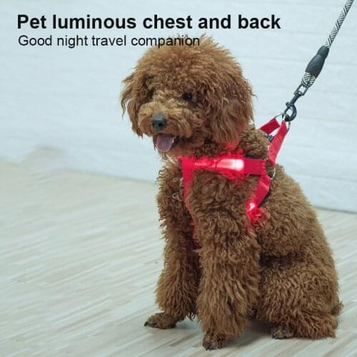 HOT Double Sided Transparent LED Flashing Cat And Dog Universal Chest Strap LED Harness Dog Products USB Nylon Dog Collar Vest