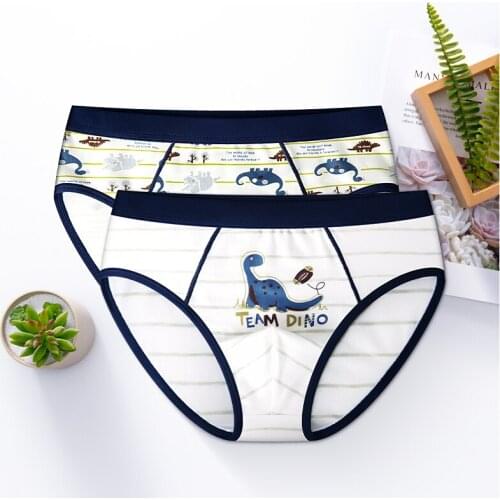 Feiner baby cotton underwear Boys boxer cartoon boy underwear panties pants children briefs shorts