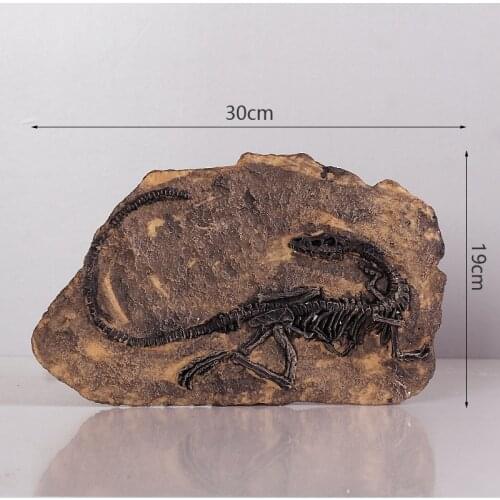 Jurassic Dinosaur Fossil Wall Decoration Dragon Tyrannosaurus Fossil Skeleton Simulation Animal Teaching Model Kids Gifts Toys
