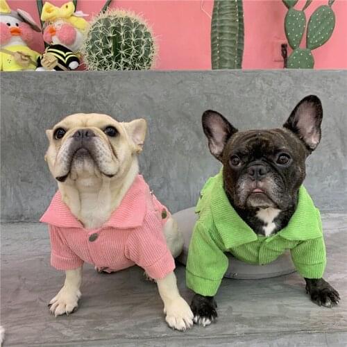 Dog Dog clothesDog coat Dog jacket Dog clothes for small dogsDog costume Corduroy dog jacket Green and red French bulldog