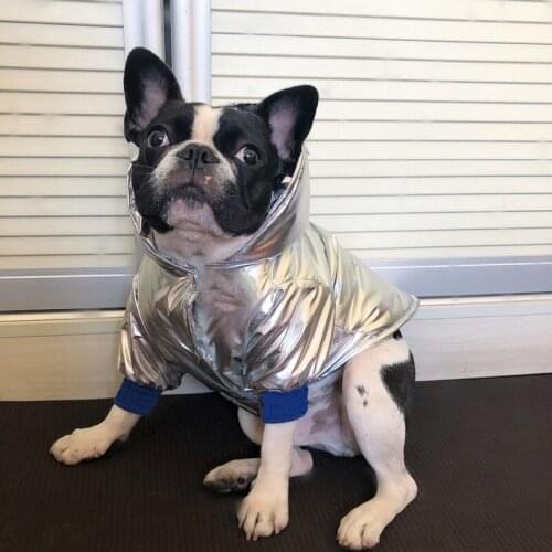 Dog Clothes Jacket for Dogs Winter Jumpsuit Clothes for Cat Pet Warm Coat Suit Designer Embroidery Small Dog Puppy Coat Pug