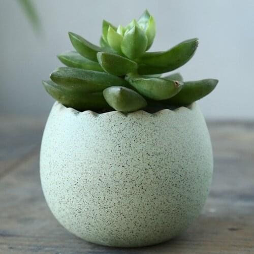Simple Office Set Piece Ceramic Flower Pot Makalong Egg-shaped Multi-Meat Plant Pot Wholesale Special Small Flower Pot Planters