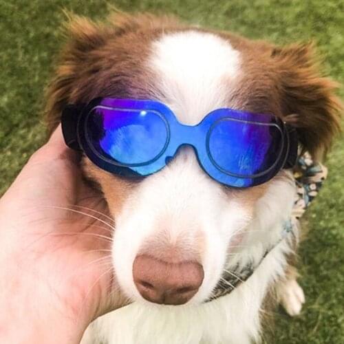 Pet Fashion Glasses Cat Dog Goggles Windproof Waterproof Sunscreen Cat UV Protection Outdoor Sunglasses