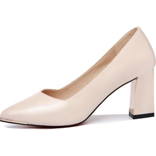 Pointed Thick Heel Low-Top Shoes Shallow Mouth WomenS Shoes Water Platform WomenS Shoes