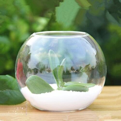 Free Shipping Diameter=8cm 12pcs/pack Flat Mouth Glass Terrarium Micro Landscape Ball Shaped Bottle Creative Glass Ball Vase