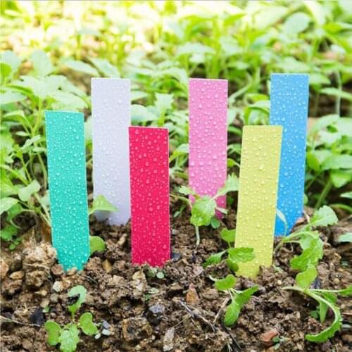 100/20 Pcs Gardening Plant Label Waterproof Plant Markers Plastic Insert Ground Card T shaped Plant Sign