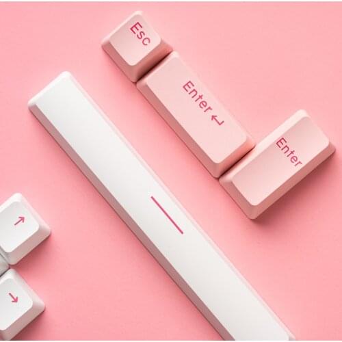 ESC Enter Spacebar Arrow PBT Keycaps OEM Profile For Mechanical Keyboard Artisan Keycap For GK61 GK64 SK64 RK87 GH60 mx switches