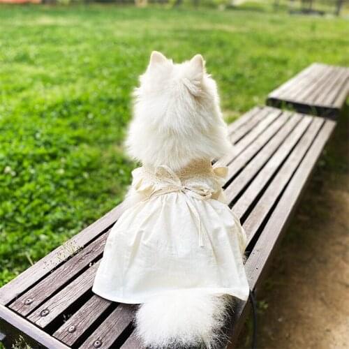 Cotton And Linen Lace Dress For Pets Summer Clothing For Dogs Cat Small Puppy Clothes Chihuahua Pug Pomerania Skirt For Cat