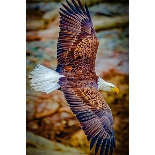 5D DIY Diamond Painting "Animal Eagle" Full Square/Round Drill Diamond Embroidery Kit Diamond Mosaic Rhinestone Picture Decor