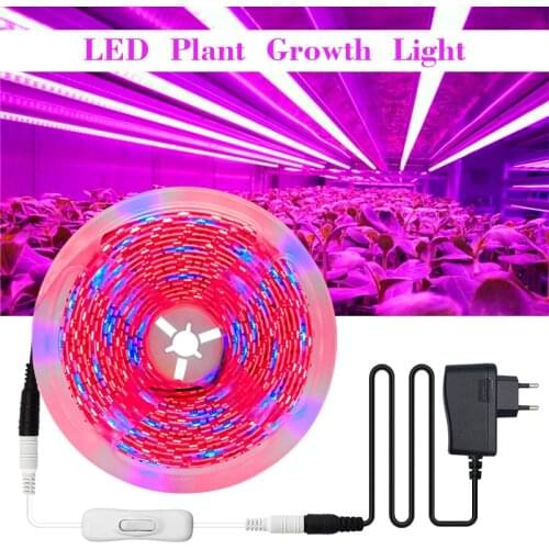 Светодиодные лампы для растений RiRi won China At AliExpress