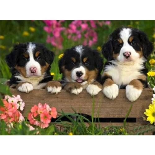 New arrival Diamond painting embroidery Puppy Bernese Mountain Dog beads 5d cross stitch kits handwork animal mosaic art C565