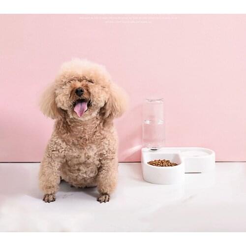 Automatic Water Drinker for Dogs Cats Food Feed Bowl Dog Accessories Supplies Pet Water Drinking Bottle