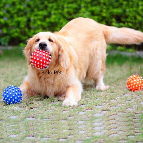 Free shipping 1pcs Pet Dog Puppy Cat Pet Hedgehog Ball Fun Playing Toy Hot Worldwide
