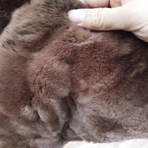 AAA Best Rex Rabbit Fur Plate Rug Brown Real Fur Rug Blanket Garment Accessory New Christmas