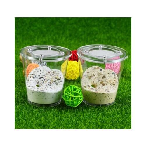 Sand Gypsum Mix Cup Nest Advanced Primitive Eco Nest Cup Ant Nest