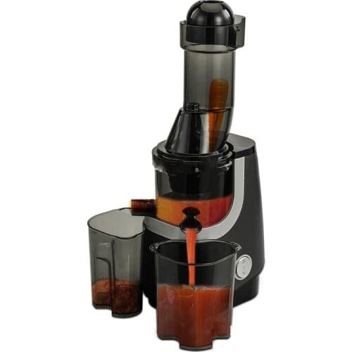 Household Slow Juicer Large-Caliber Press Extractor Electric Juicer Juicing Machine Vegetables Extractor Fruits Juicer 200W New