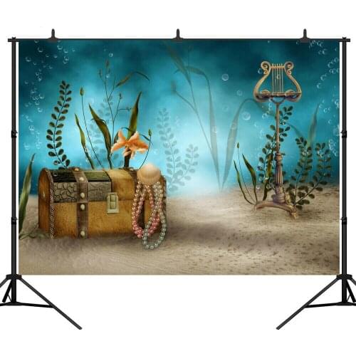 Photography Background Fairy Tale Treasure Birthday Party cartoon photo backdrop
