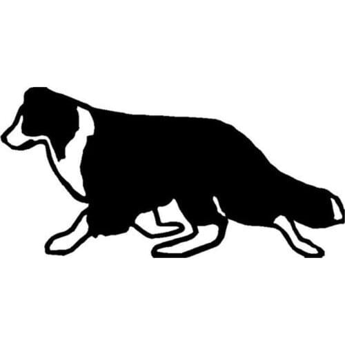 17.8*8.8CM Border Collie Dog Animal Car Sticker Classic Windshield Decorative Decals Black/Silver C6-1113
