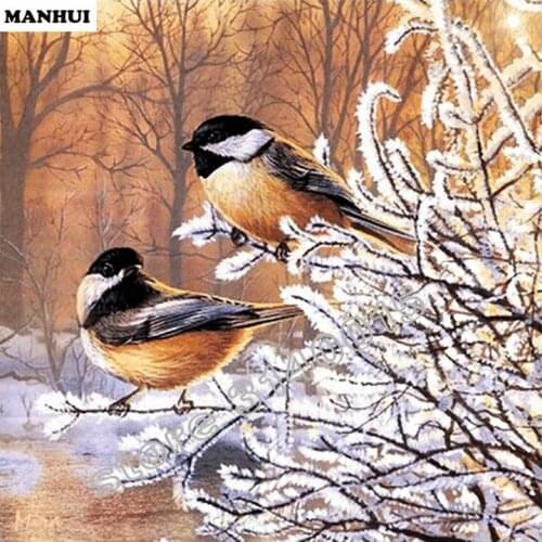 DIY diamond painting full resin square rhinestone full diamond embroidery 3D wall decoration painting Bird BFC010