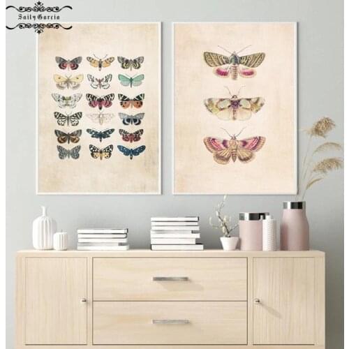 Vintage Butterfly Poster Insect Specimen Wall Art Pictures Nature Education Prints Nursery Canvas Painting Kids Room Decoration