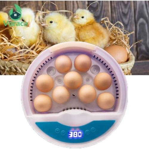 Eggs Incubator Automatic Digital Brooder Poultry Tool Chicken Hatchery Machine One-button Duck Home Egg Breeder Heating