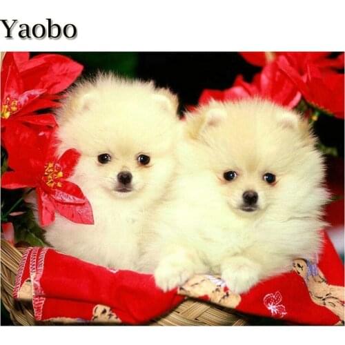 5d diy Full Square round Diamond painting Pomeranian pet dog picture of rhinestone embroidery Cross Stitch animal home decor