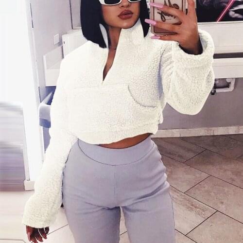 Autumn and Winter Teddy Faux Fur High Neck Womens Zipper Pocket Casual Loose Womens Short Cotton Top 2021 Sweatshirt korean